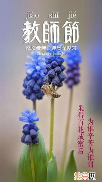 送给老师的诗句有哪些 赞美教师的诗句有哪些