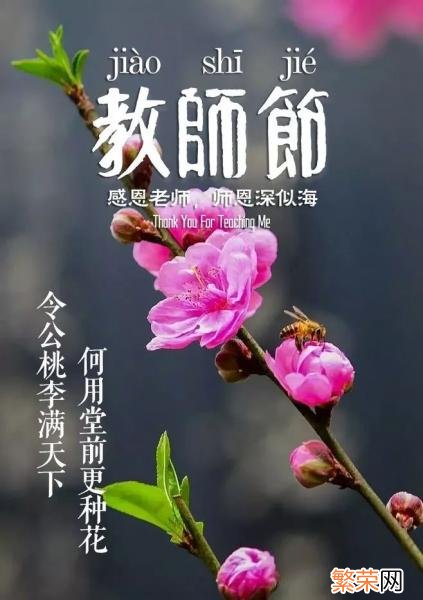 送给老师的诗句有哪些 赞美教师的诗句有哪些