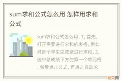 sum求和公式怎么用 怎样用求和公式