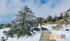 艳阳天里大雪纷飞是真的吗 艳阳天里会不会大雪纷飞