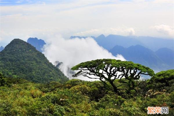 中国十大名山排名榜 广西十大名山排名榜