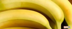 最原始的香蕉长什么样 香蕉长什么样