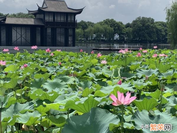 杭州西湖十景图片 西湖十景是哪十景