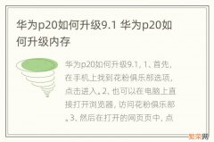 华为p20如何升级9.1 华为p20如何升级内存