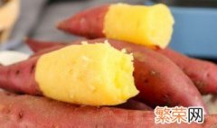 无土红薯藤种植方法 无土红薯藤种植的方法