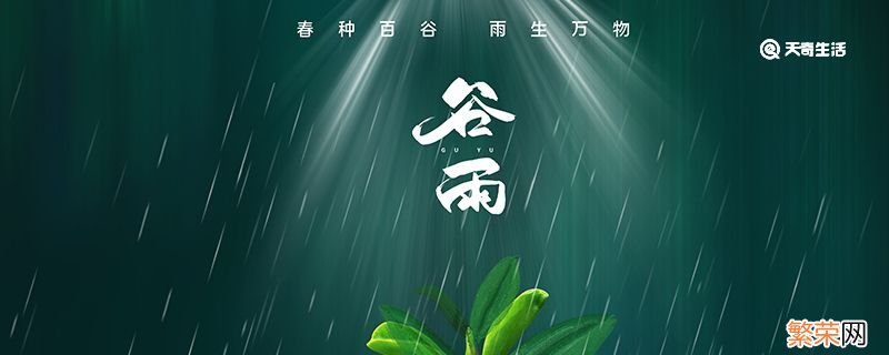 谷雨要做什么 谷雨要做什么农事