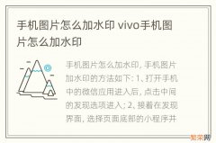 手机图片怎么加水印 vivo手机图片怎么加水印