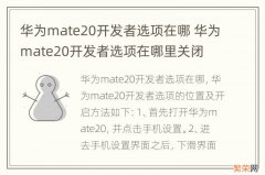 华为mate20开发者选项在哪 华为mate20开发者选项在哪里关闭