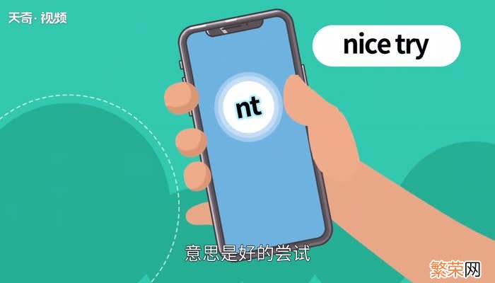 nt是什么意思nt的意思