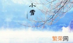 小雪节气吃什么 小雪节气适合吃什么