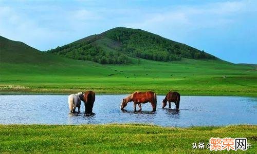 优美动听的草原歌曲 草原歌曲大全100首