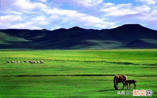 优美动听的草原歌曲 草原歌曲大全100首