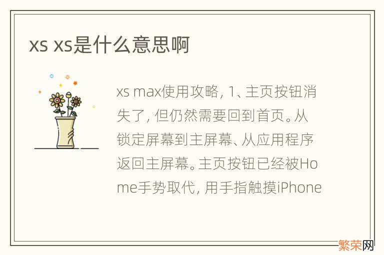 xs xs是什么意思啊