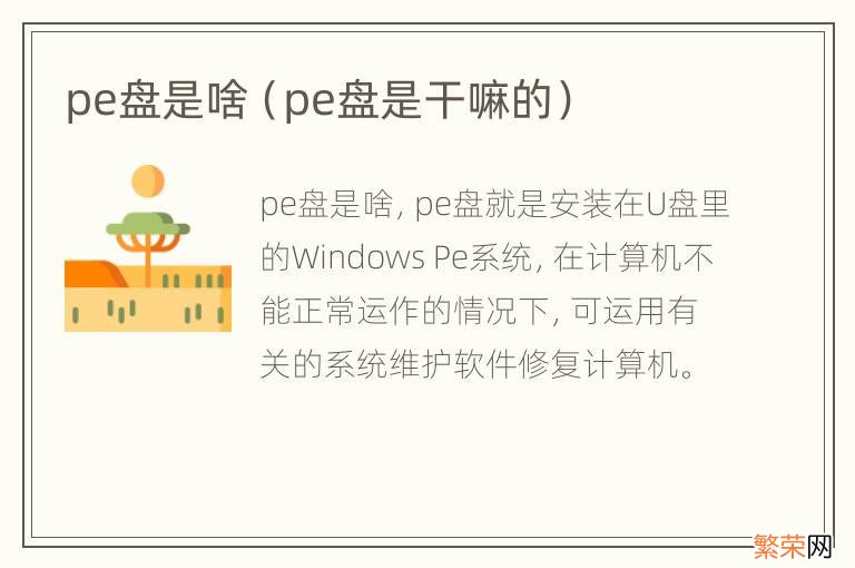 pe盘是干嘛的 pe盘是啥