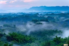 温庭筠《商山早行》五言律诗原文 商山早行温庭筠翻译