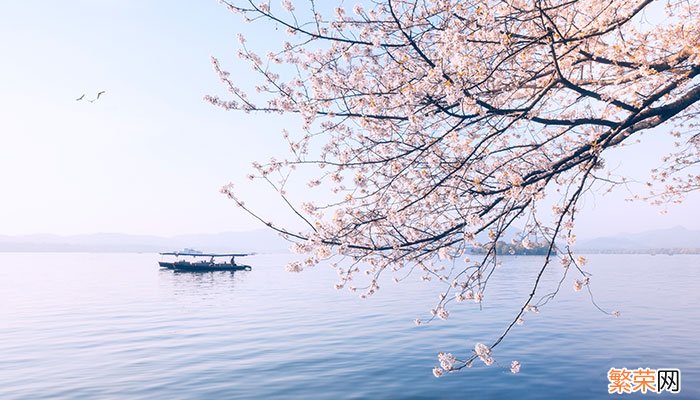 3月开什么花 3月开的花有什么