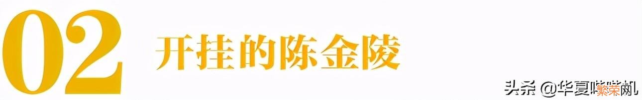 山寨机鼻祖陈金陵 陈金陵故事是真的吗