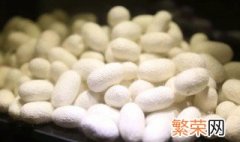 什么是双宫蚕丝被 双宫蚕丝被是什么意思