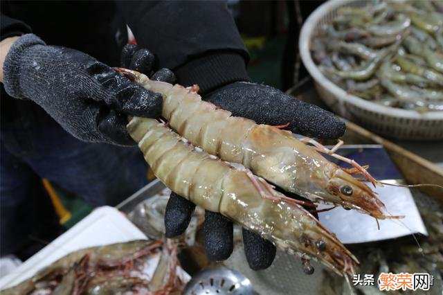 普通的虾多少钱一斤 大个头海虾多少钱一斤