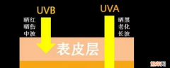 uva指的是什么线 uva指的是什么