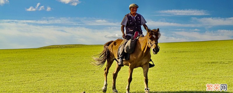 蒙古族忌食什么食物 蒙古族的禁忌食物
