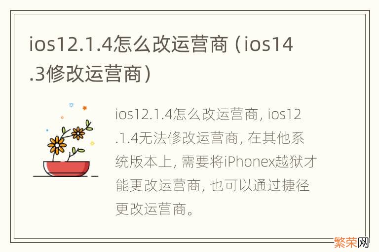 ios14.3修改运营商 ios12.1.4怎么改运营商