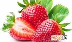 巧克力草莓和奶油草莓区别 巧克力草莓和奶油草莓有什么区别