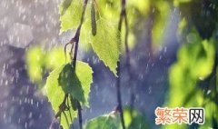 中国南方梅雨季节指的是哪几个月 中国南方梅雨季节指的是每年的六七月份