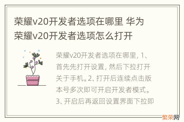 荣耀v20开发者选项在哪里 华为荣耀v20开发者选项怎么打开