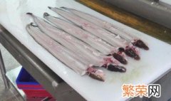 河鳗怎么杀怎么洗 河鳗如何杀如何洗