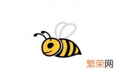 中蜂喂水器使用方法 给蜜蜂喂水有哪些方法