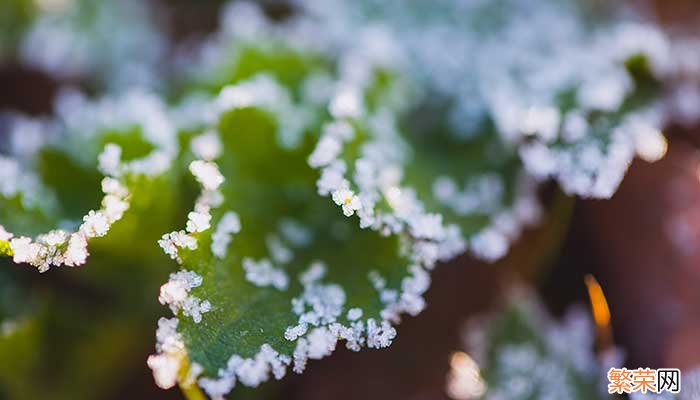 寒露和霜降是什么季节 寒露和霜降的关系