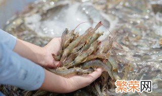 海虾海蟹怎么存放 如何保存海虾海蟹