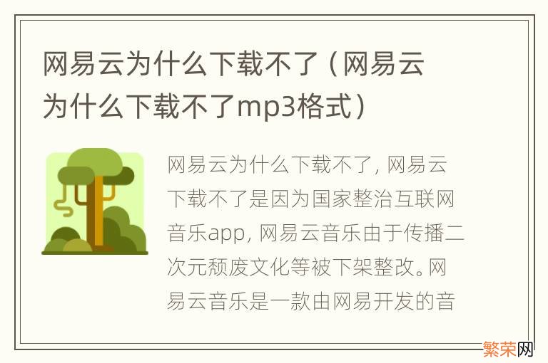 网易云为什么下载不了mp3格式 网易云为什么下载不了