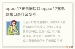 oppor17充电器接口 oppor17充电器接口是什么型号