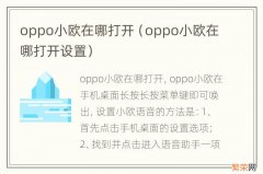 oppo小欧在哪打开设置 oppo小欧在哪打开