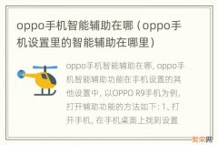 oppo手机设置里的智能辅助在哪里 oppo手机智能辅助在哪