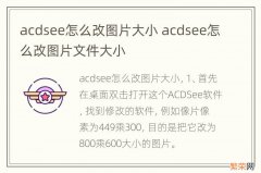 acdsee怎么改图片大小 acdsee怎么改图片文件大小