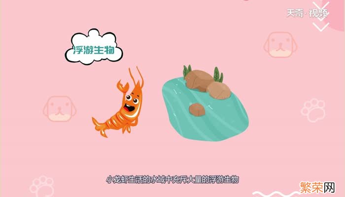 小龙虾有寄生虫吗小龙虾有没有寄生虫