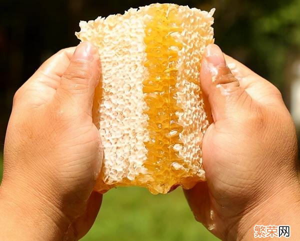 麦卢卡蜂蜜的价格多少钱 进口蜂蜜品牌排行榜前十名