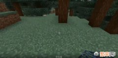 《我的世界》中文Minecraft 我的世界刷怪箱怎样使用