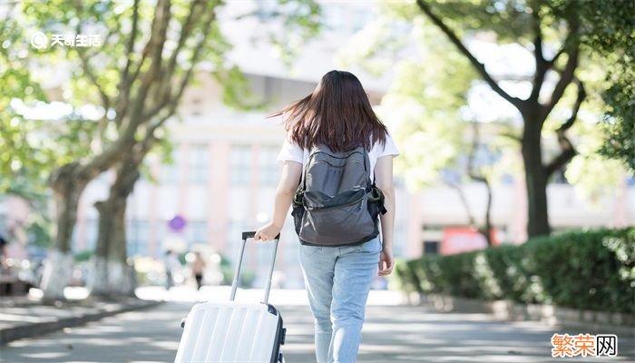 拉杆箱什么材质好 旅行拉杆箱什么材质好