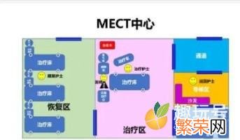 一些名人因为抑郁自杀 mect是什么意思