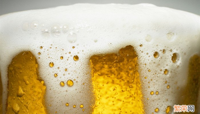 一听啤酒是多少瓶 一听啤酒是多少瓶呢