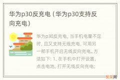 华为p30支持反向充电 华为p30反充电