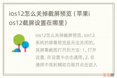 苹果ios12截屏设置在哪里 ios12怎么关掉截屏预览