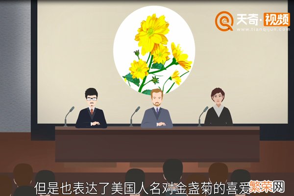 美国国花是什么