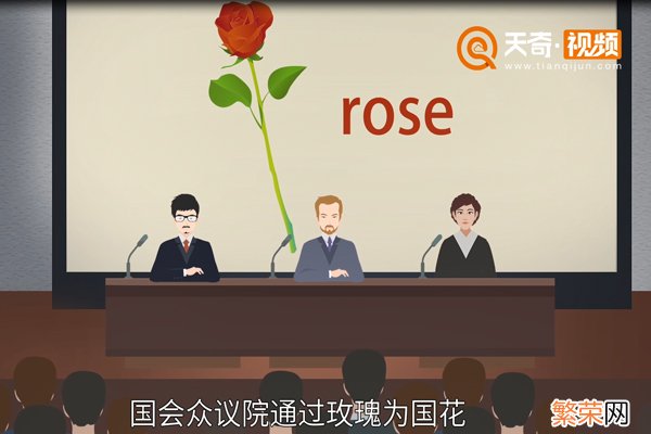 美国国花是什么