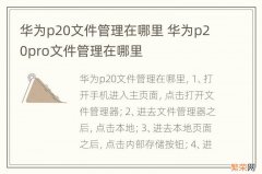 华为p20文件管理在哪里 华为p20pro文件管理在哪里