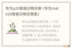 华为mate20智能识物在哪里 华为p20智能识物在哪